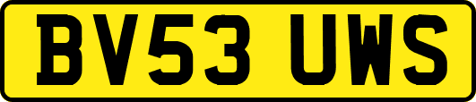 BV53UWS