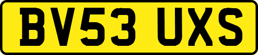 BV53UXS