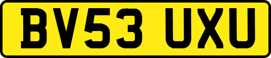 BV53UXU