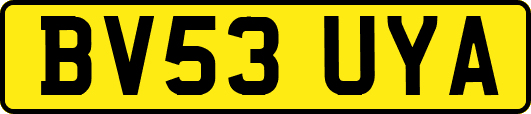 BV53UYA