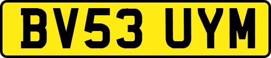 BV53UYM