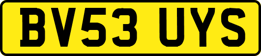 BV53UYS