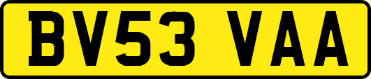BV53VAA