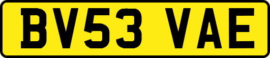 BV53VAE
