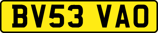 BV53VAO