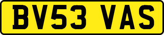 BV53VAS