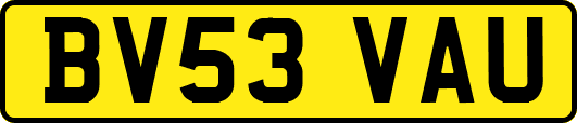 BV53VAU