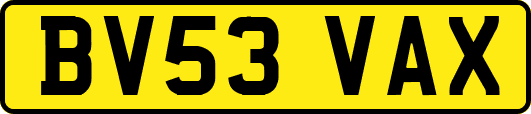 BV53VAX