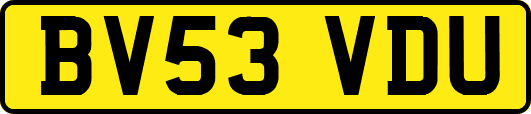BV53VDU