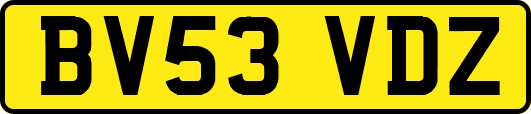 BV53VDZ