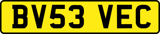 BV53VEC