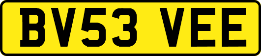 BV53VEE