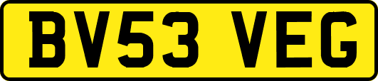 BV53VEG