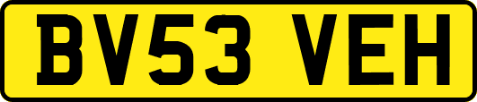 BV53VEH