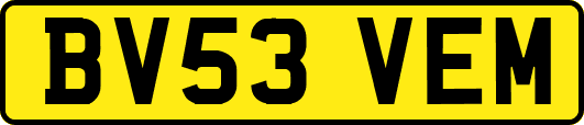 BV53VEM