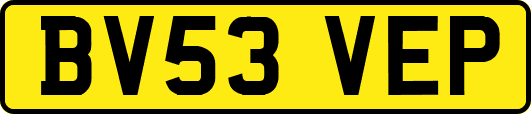 BV53VEP