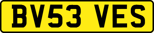 BV53VES