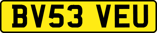 BV53VEU