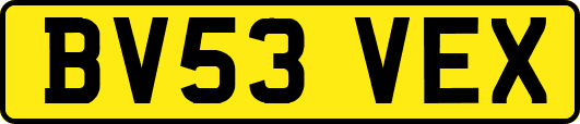 BV53VEX