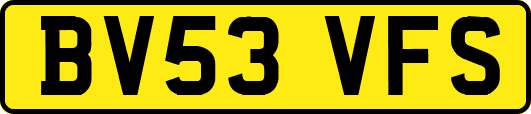 BV53VFS