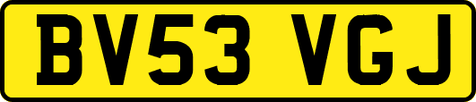 BV53VGJ