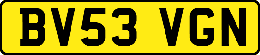 BV53VGN