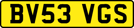 BV53VGS