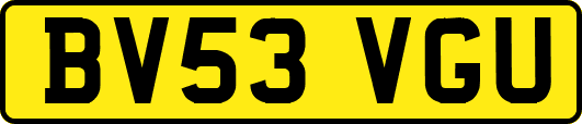 BV53VGU