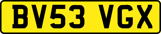 BV53VGX