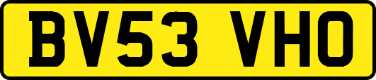 BV53VHO