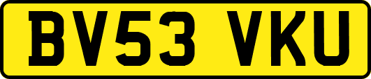 BV53VKU