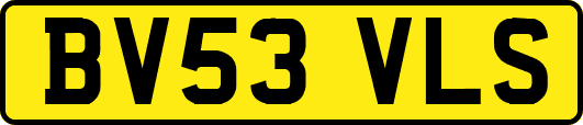 BV53VLS