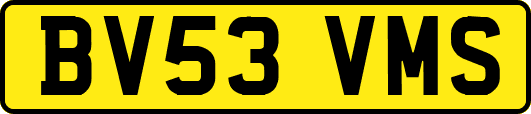BV53VMS