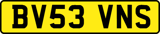 BV53VNS