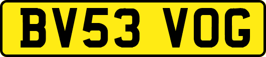 BV53VOG