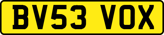 BV53VOX