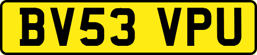 BV53VPU