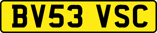 BV53VSC