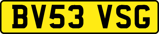 BV53VSG