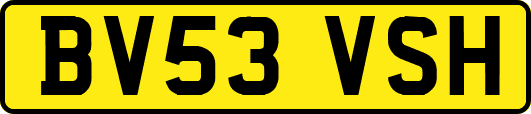 BV53VSH