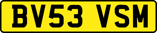BV53VSM