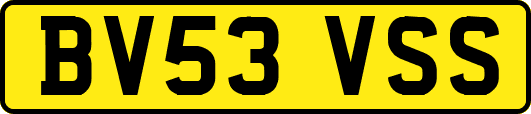 BV53VSS