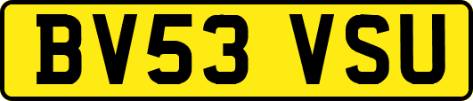 BV53VSU
