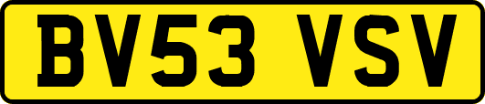 BV53VSV