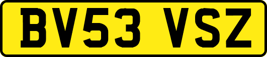 BV53VSZ