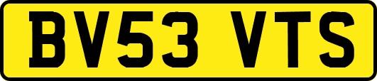 BV53VTS