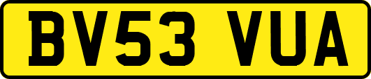 BV53VUA