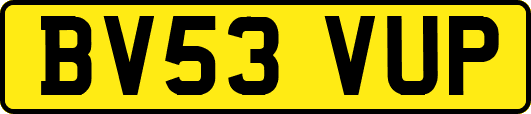 BV53VUP