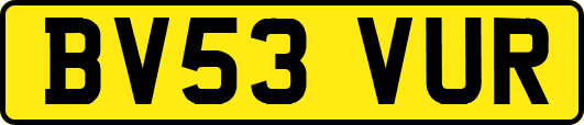 BV53VUR