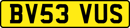 BV53VUS
